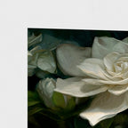 Arrayed in Grace