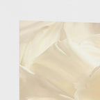 Dove Sheets